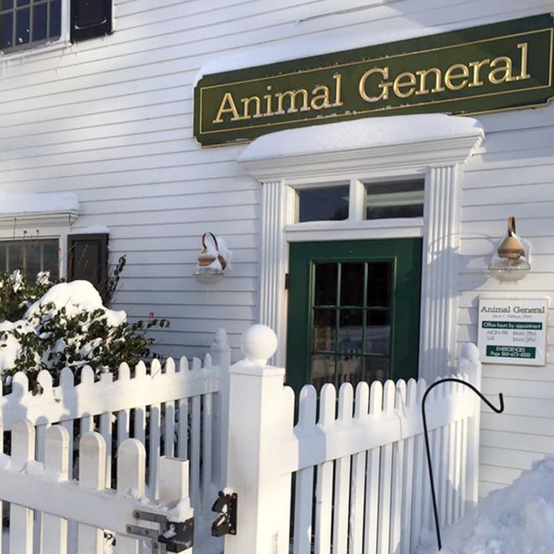 Animal General in Avon