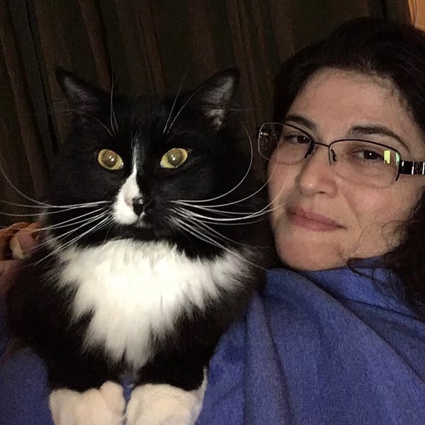 Avon Veterinarian